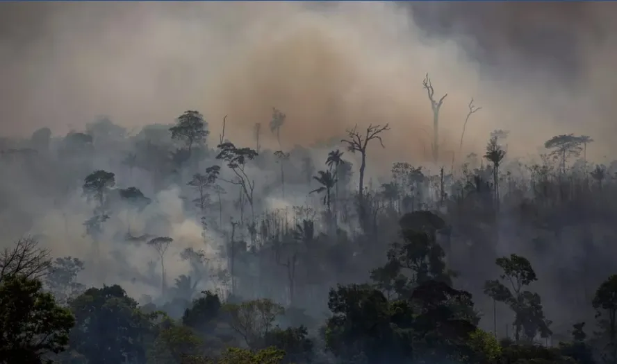 Pará anuncia na COP28 criação de 'Unidade de Recuperação', nova forma de área protegida