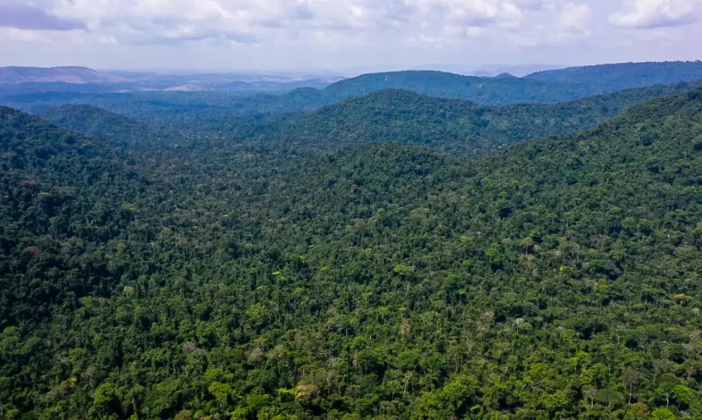 Governo do AM terceiriza geração de créditos de carbono na amazônia e retarda consulta a comunidades