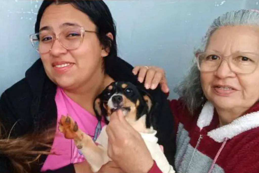 Família venezuelana viajava com cão em avião que caiu em SP