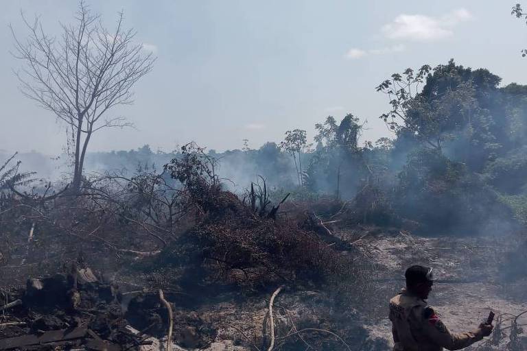 Incêndio no Marajó consome amazônia há três semanas