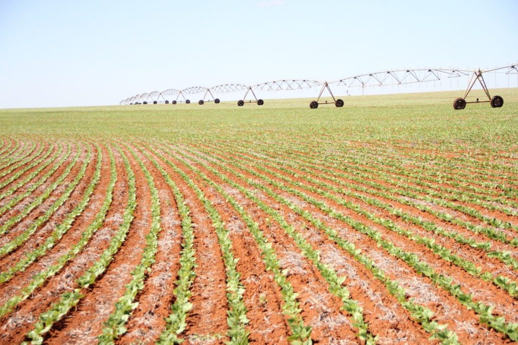 Governo quer restaurar áreas degradadas para aumentar produção agrícola, diz secretário do Mapa