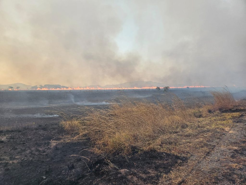 Incêndio no Parque Nacional da Chapada dos Veadeiros: Combate em Andamento